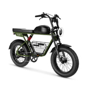 D5 Electric Bike 1000W – 48V 21AH Battery